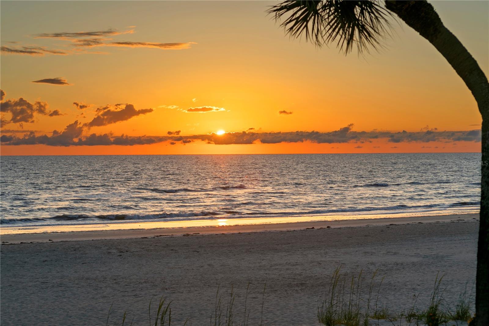 20060 GULF BLVD, INDIAN SHORES, FL — photo 80