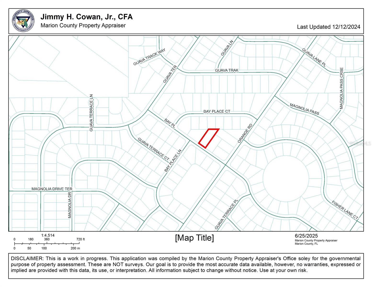 0 BAY PL, OCKLAWAHA, FL — photo 2