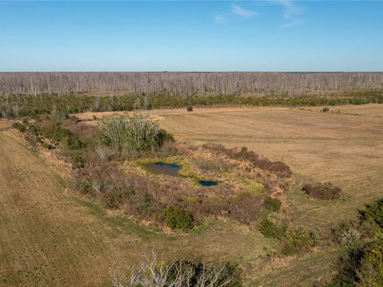 601 DIAMOND ACRES RD, DAVENPORT, FL — photo 5