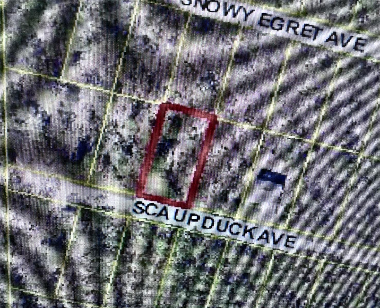 SCAUP DUCK AVE, WEEKI WACHEE, FL — photo 4