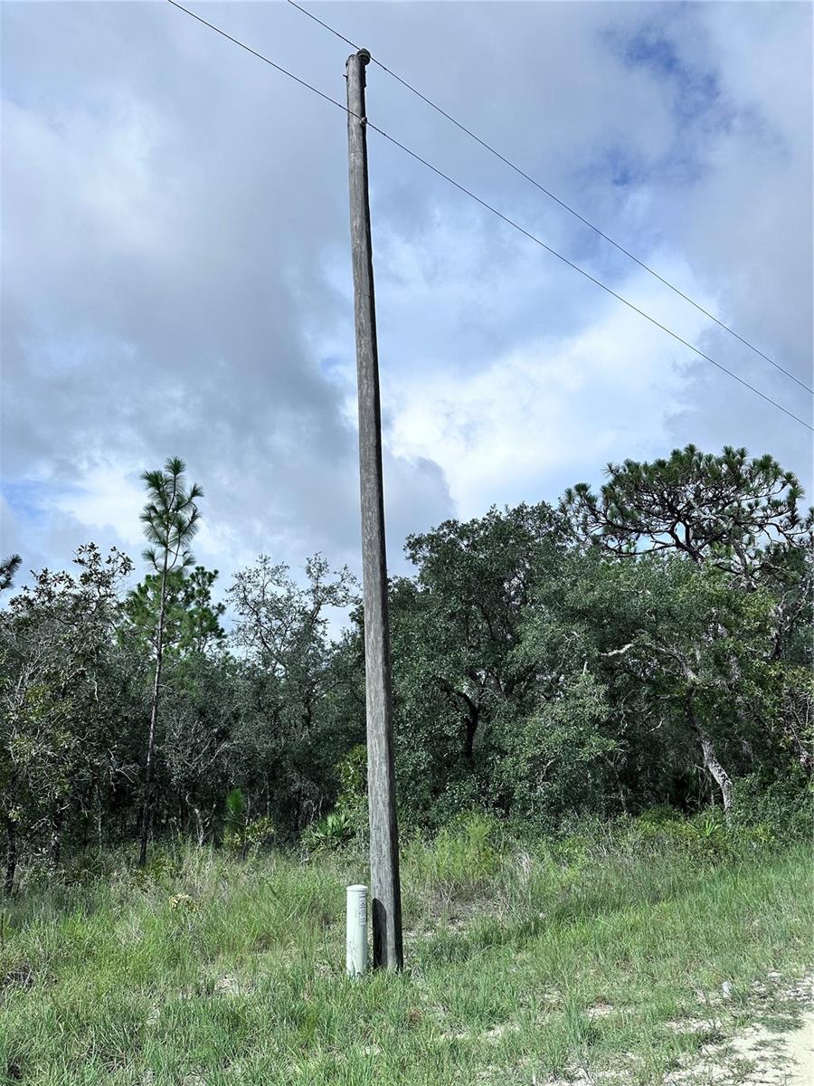 SCAUP DUCK AVE, WEEKI WACHEE, FL — photo 2