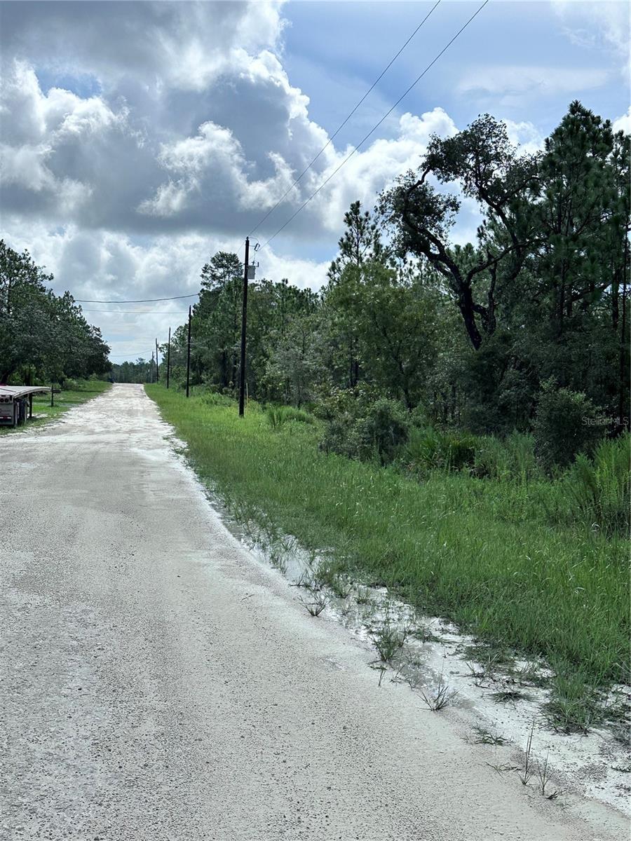 SCAUP DUCK AVE, WEEKI WACHEE, FL — photo 5