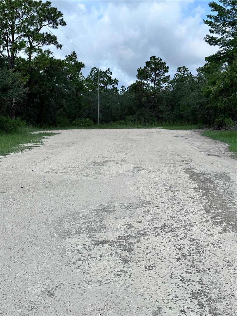 SCAUP DUCK AVE, WEEKI WACHEE, FL — photo 6