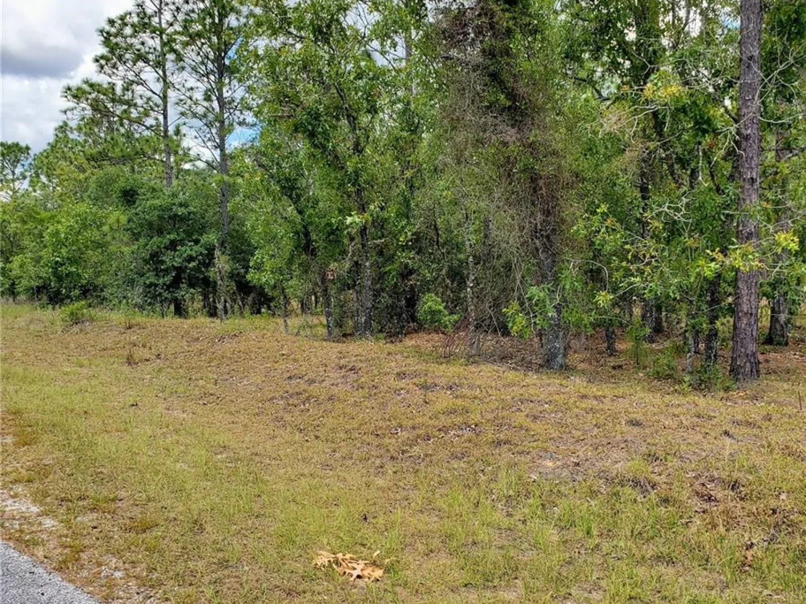 PONY RIDGE DR, DUNNELLON, FL — photo 1