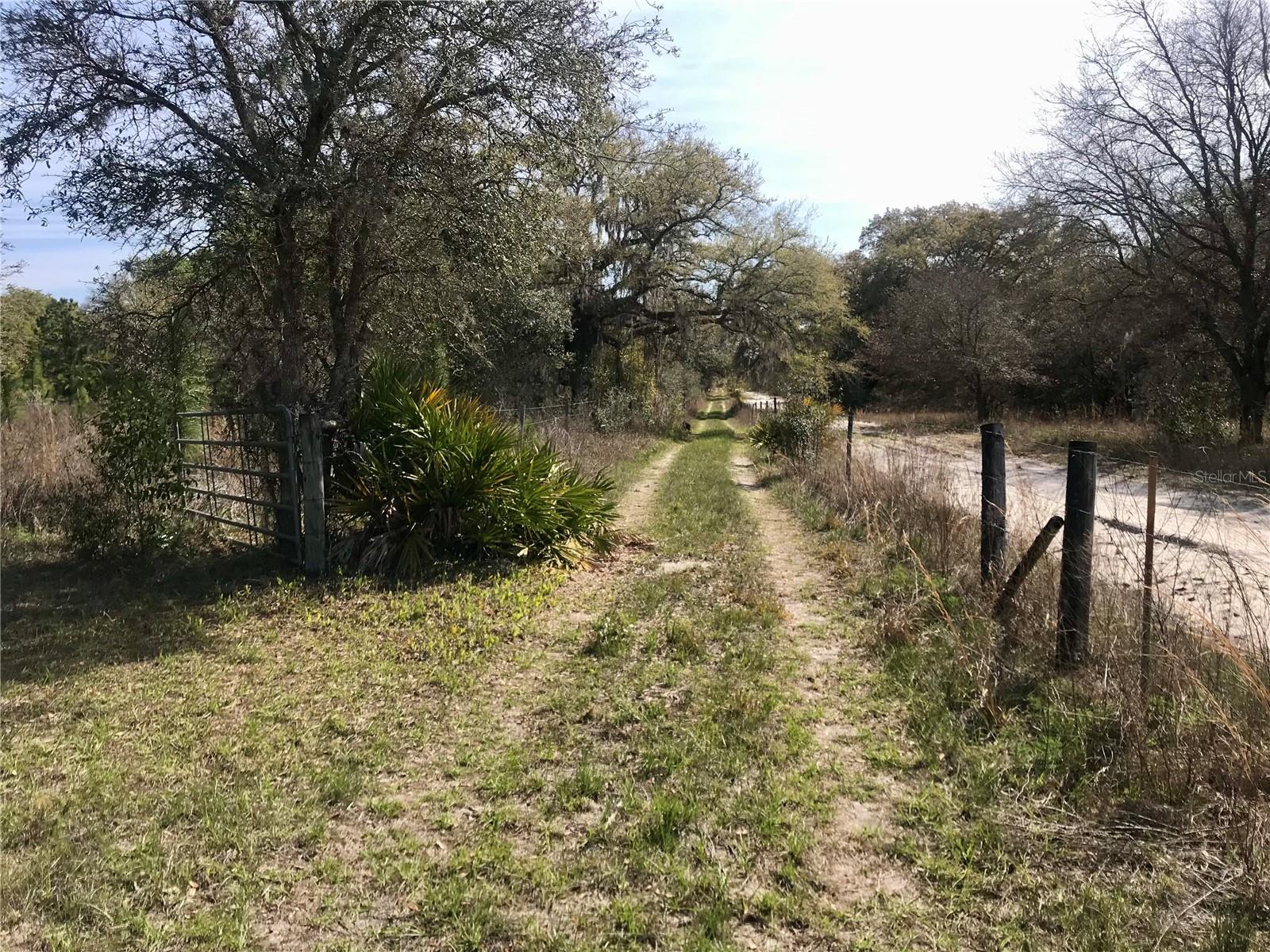 00 UNNAMED, SPRING HILL, FL — photo 4