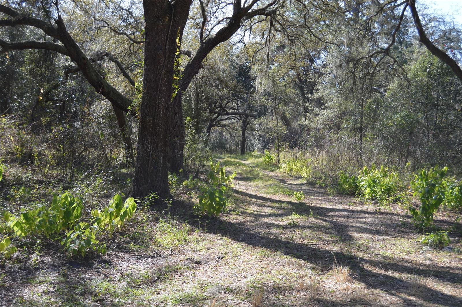 00 UNNAMED, SPRING HILL, FL — photo 7