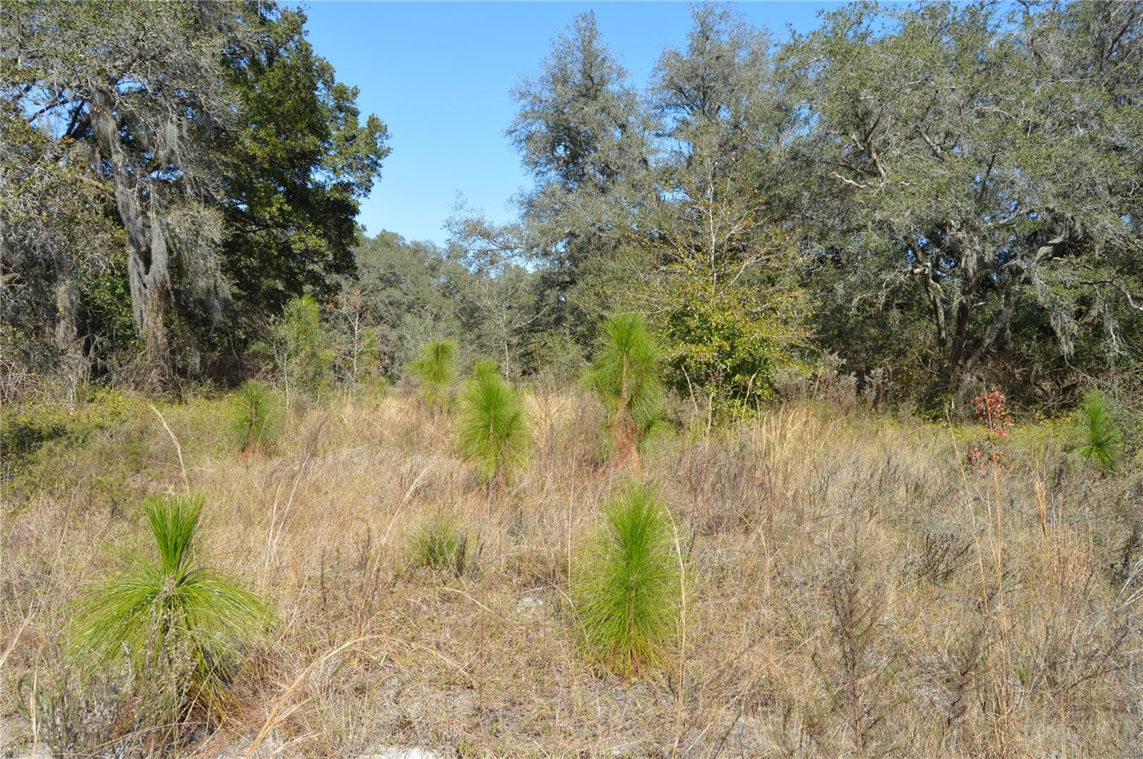 00 UNNAMED, SPRING HILL, FL — photo 8