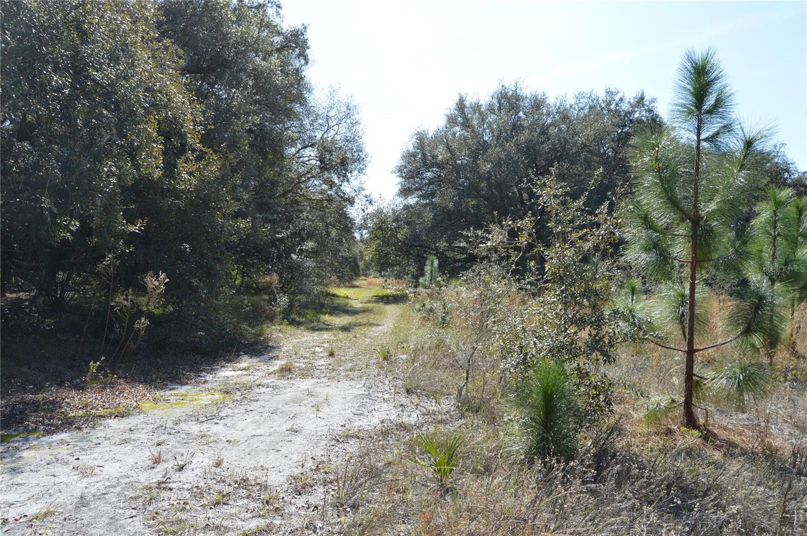 00 UNNAMED, SPRING HILL, FL — photo 9