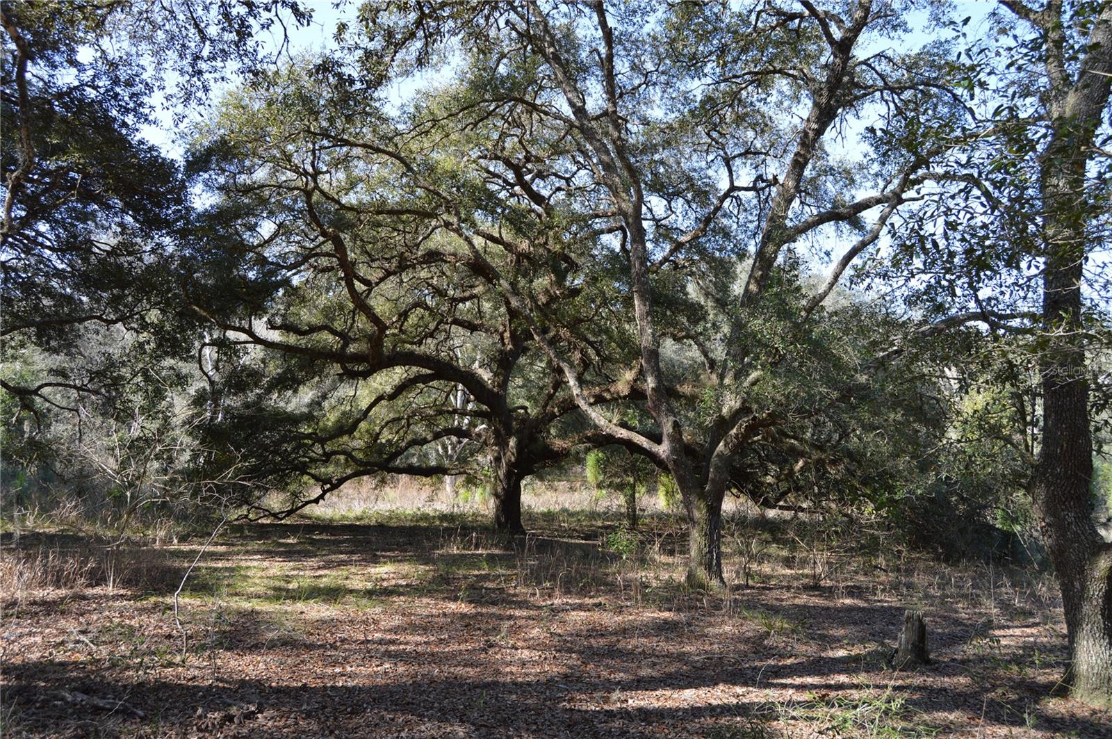 00 UNNAMED, SPRING HILL, FL — photo 11