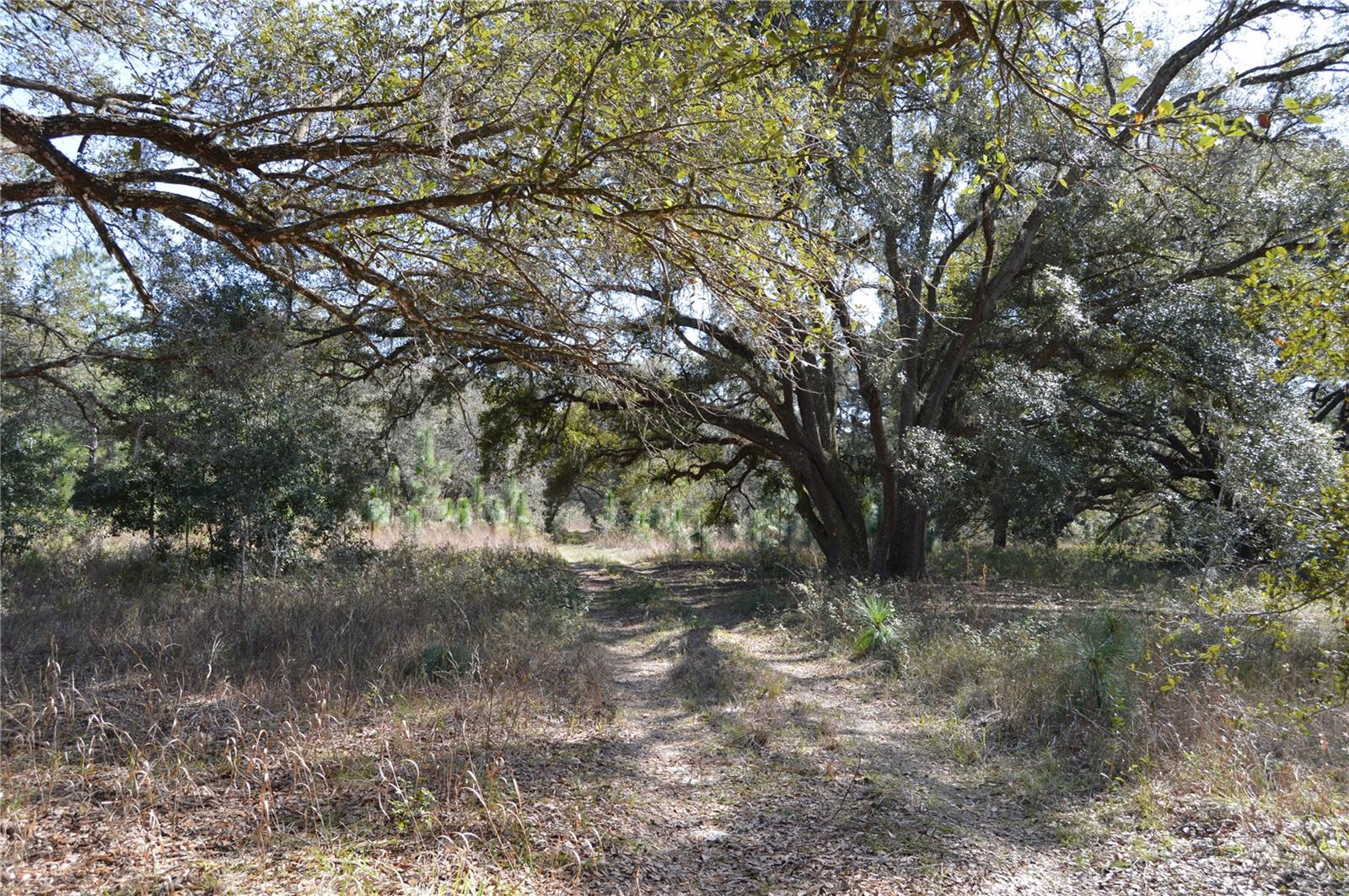 00 UNNAMED, SPRING HILL, FL — photo 12