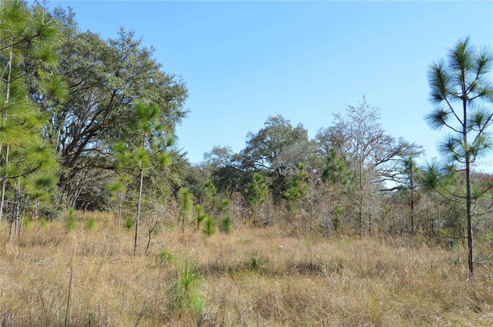 00 UNNAMED, SPRING HILL, FL — photo 14