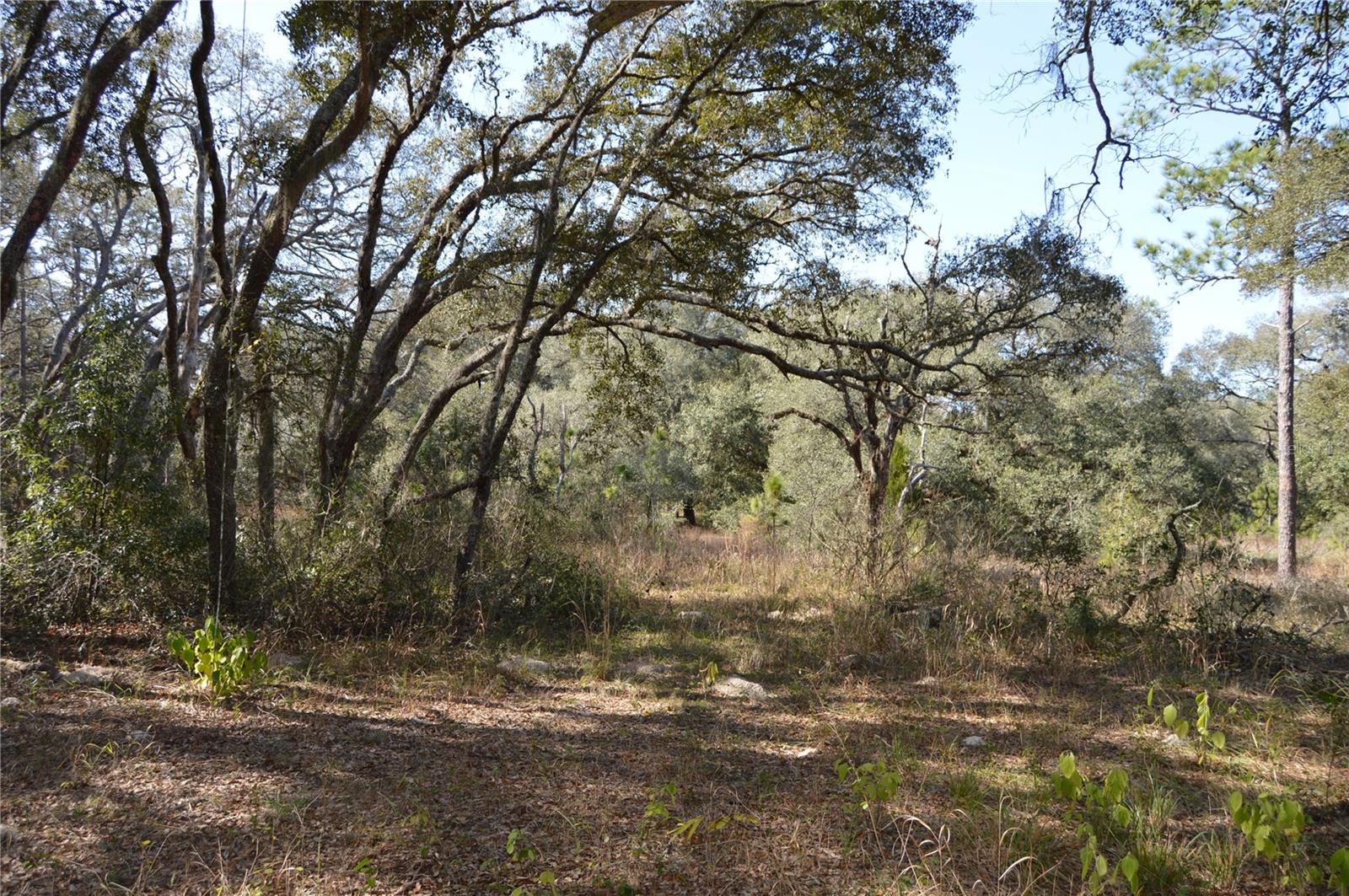 00 UNNAMED, SPRING HILL, FL — photo 16