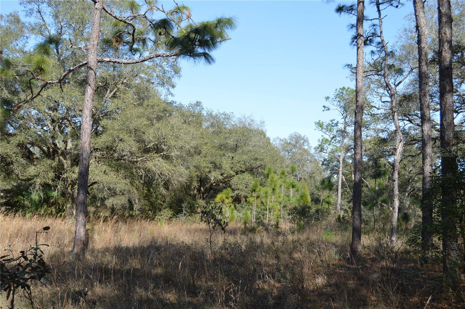 00 UNNAMED, SPRING HILL, FL — photo 18