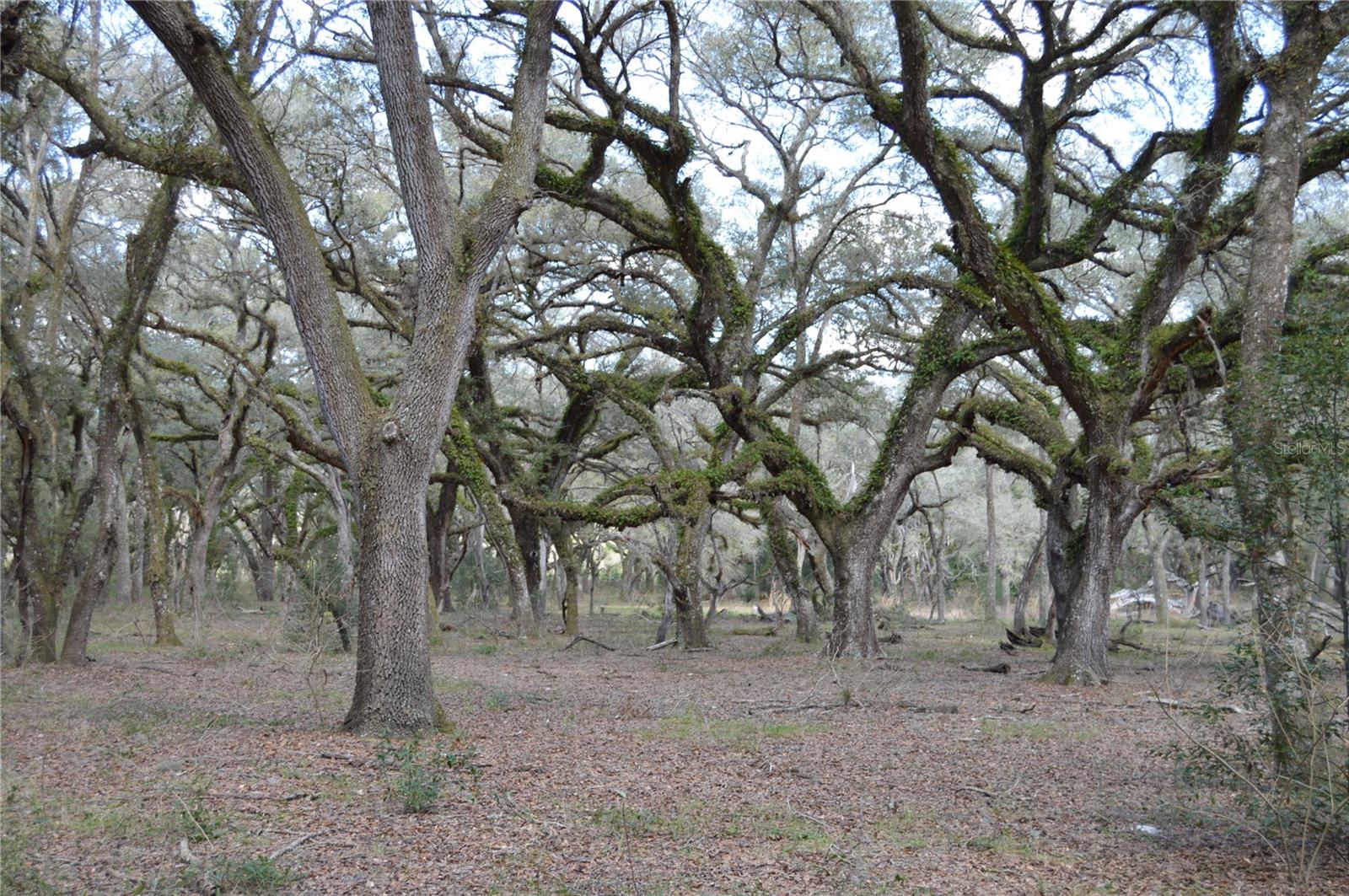 00 UNNAMED, SPRING HILL, FL — photo 19