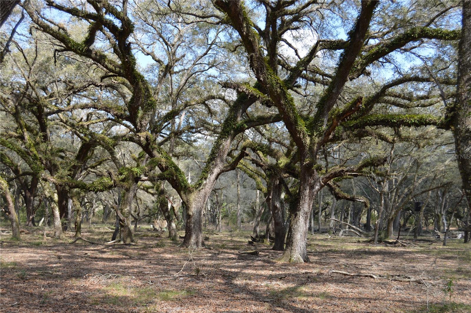 00 UNNAMED, SPRING HILL, FL — photo 20