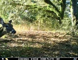 00 UNNAMED, SPRING HILL, FL — photo 22