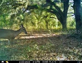 00 UNNAMED, SPRING HILL, FL — photo 23