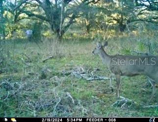 00 UNNAMED, SPRING HILL, FL — photo 27