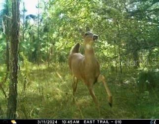00 UNNAMED, SPRING HILL, FL — photo 35