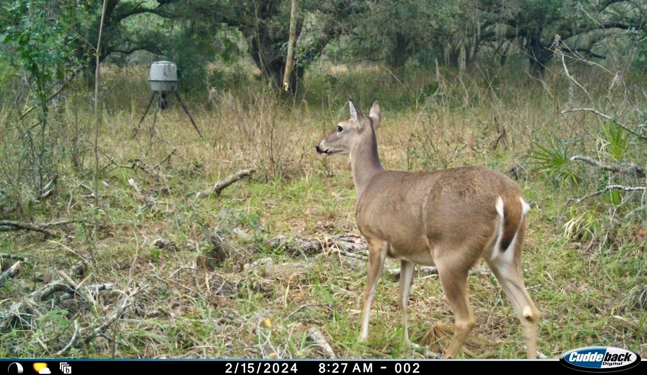 00 UNNAMED, SPRING HILL, FL — photo 37