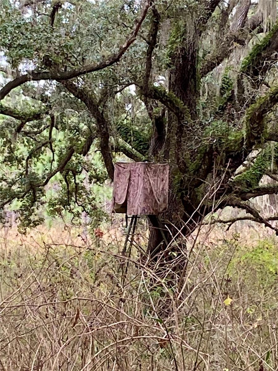 00 UNNAMED, SPRING HILL, FL — photo 40