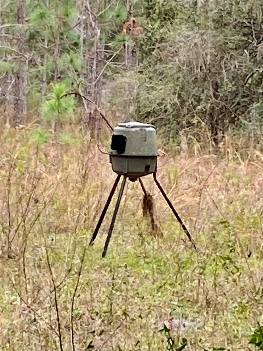 00 UNNAMED, SPRING HILL, FL — photo 41