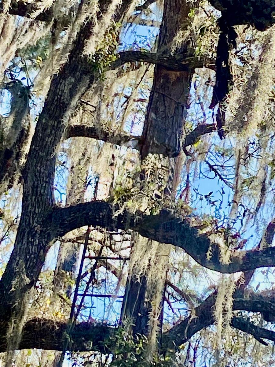 00 UNNAMED, SPRING HILL, FL — photo 42