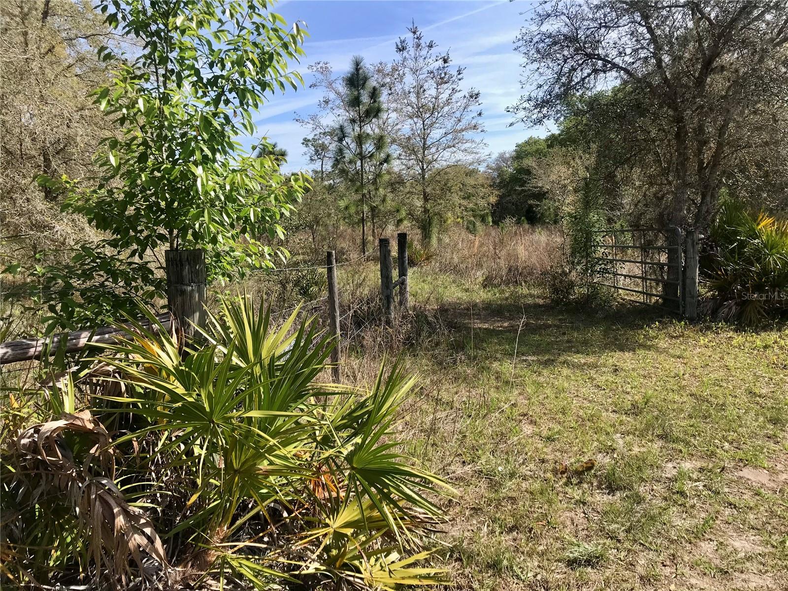 00 UNNAMED, SPRING HILL, FL — photo 43