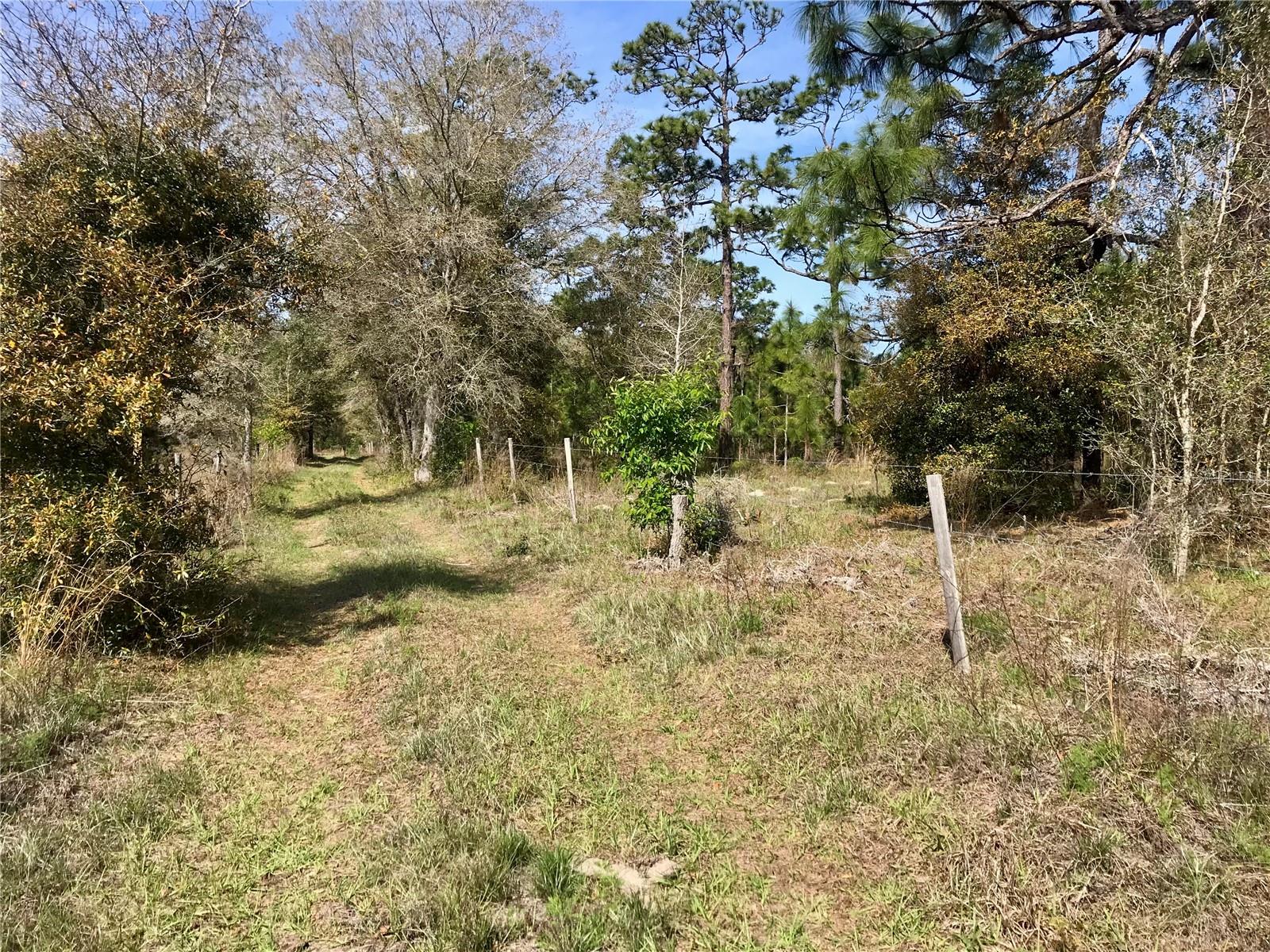 00 UNNAMED, SPRING HILL, FL — photo 44