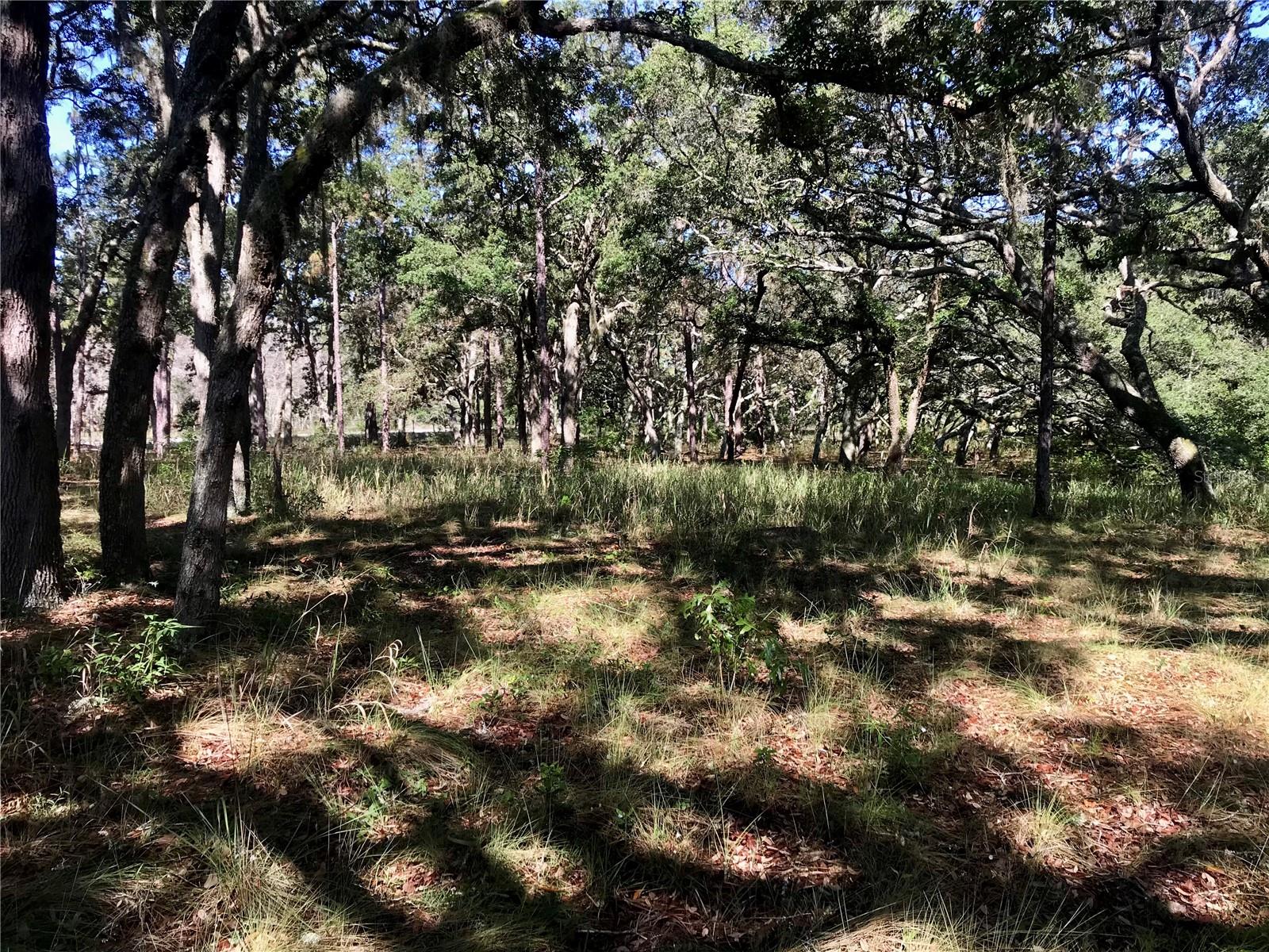 00 UNNAMED, SPRING HILL, FL — photo 46