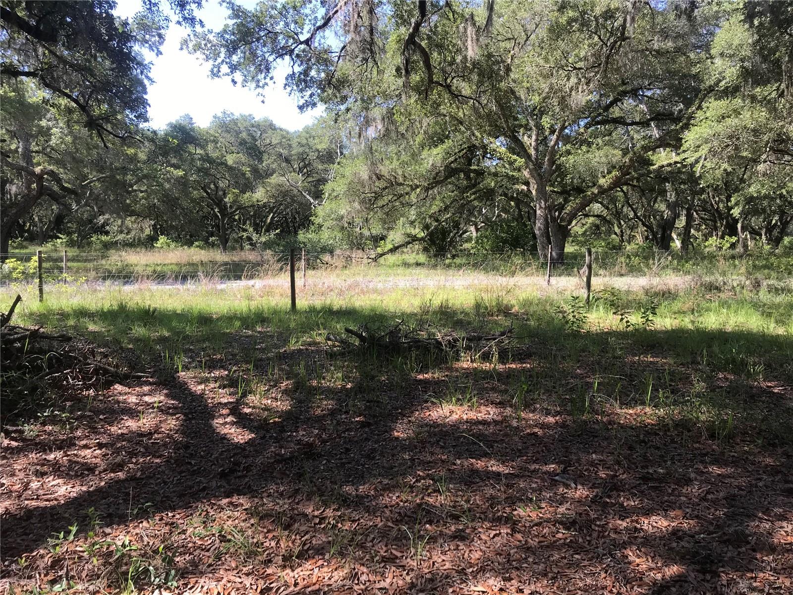 00 UNNAMED, SPRING HILL, FL — photo 48