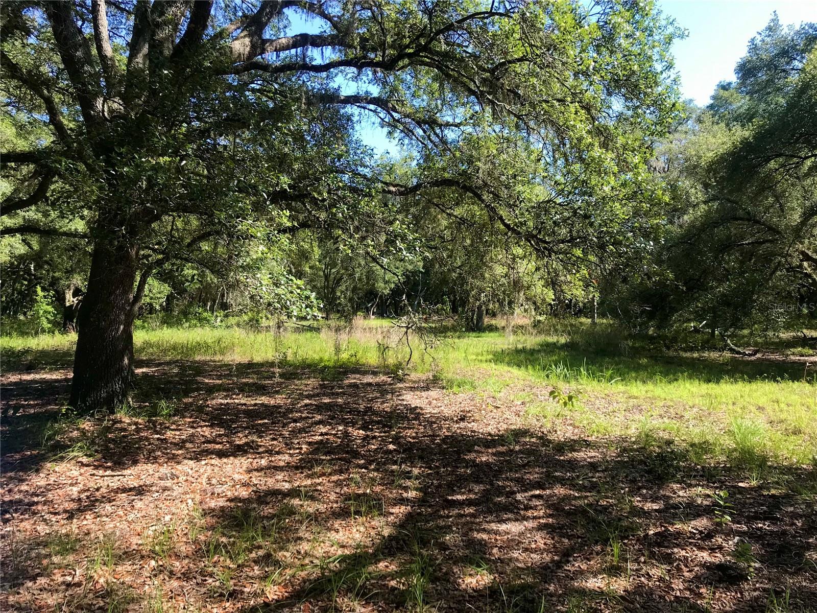 00 UNNAMED, SPRING HILL, FL — photo 49