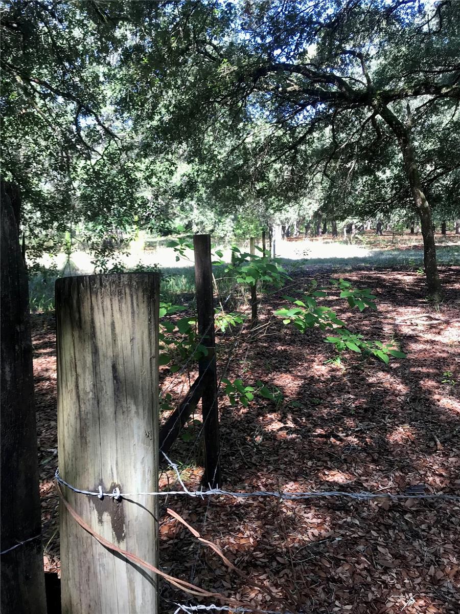 00 UNNAMED, SPRING HILL, FL — photo 50