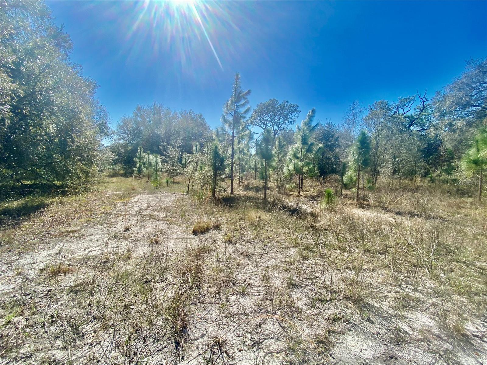 00 UNNAMED, SPRING HILL, FL — photo 51