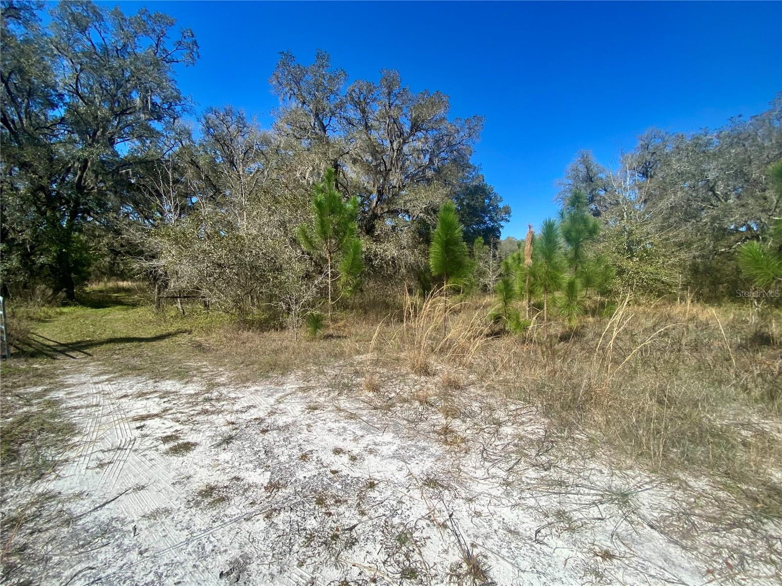 00 UNNAMED, SPRING HILL, FL — photo 52