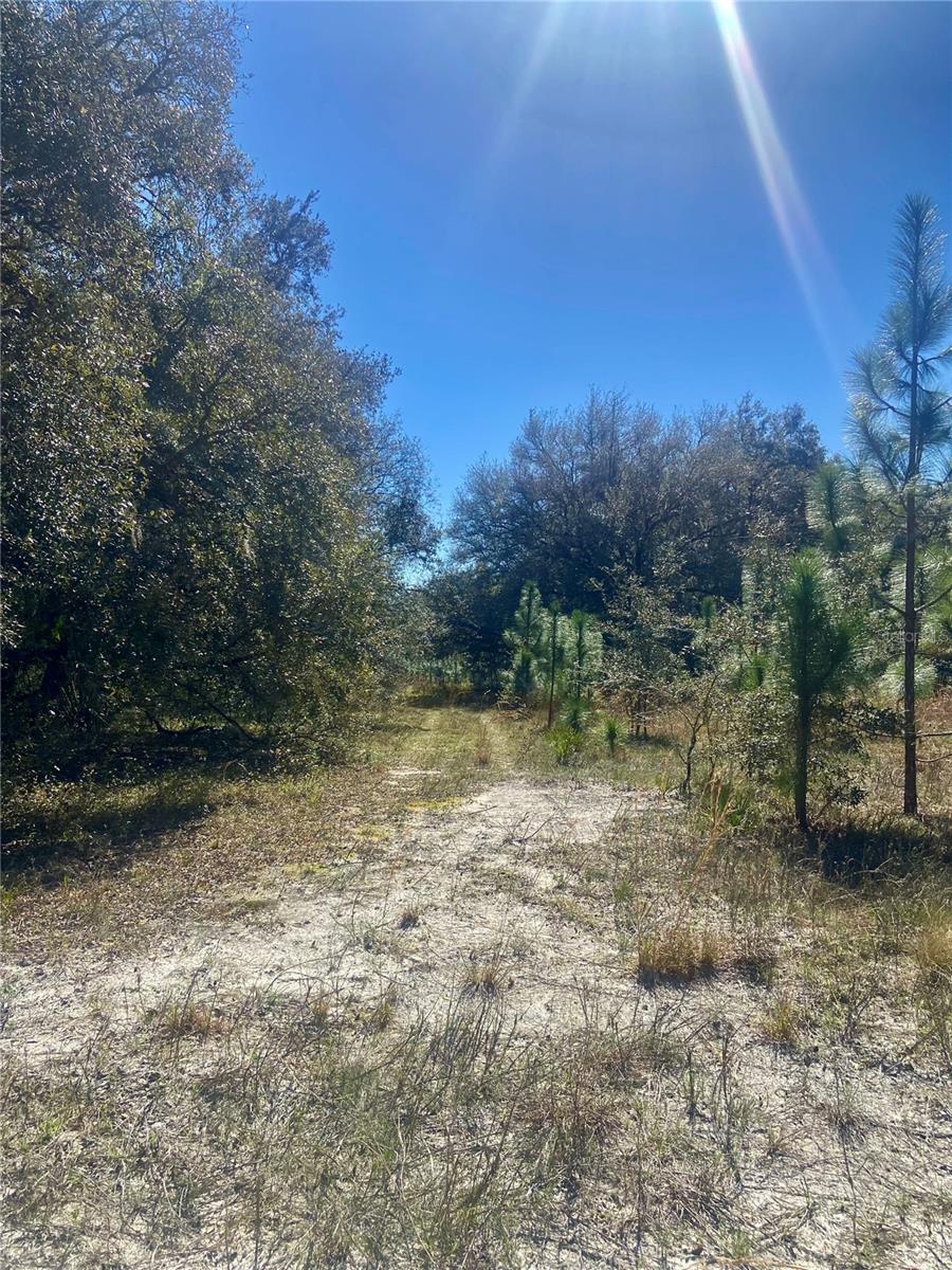 00 UNNAMED, SPRING HILL, FL — photo 53