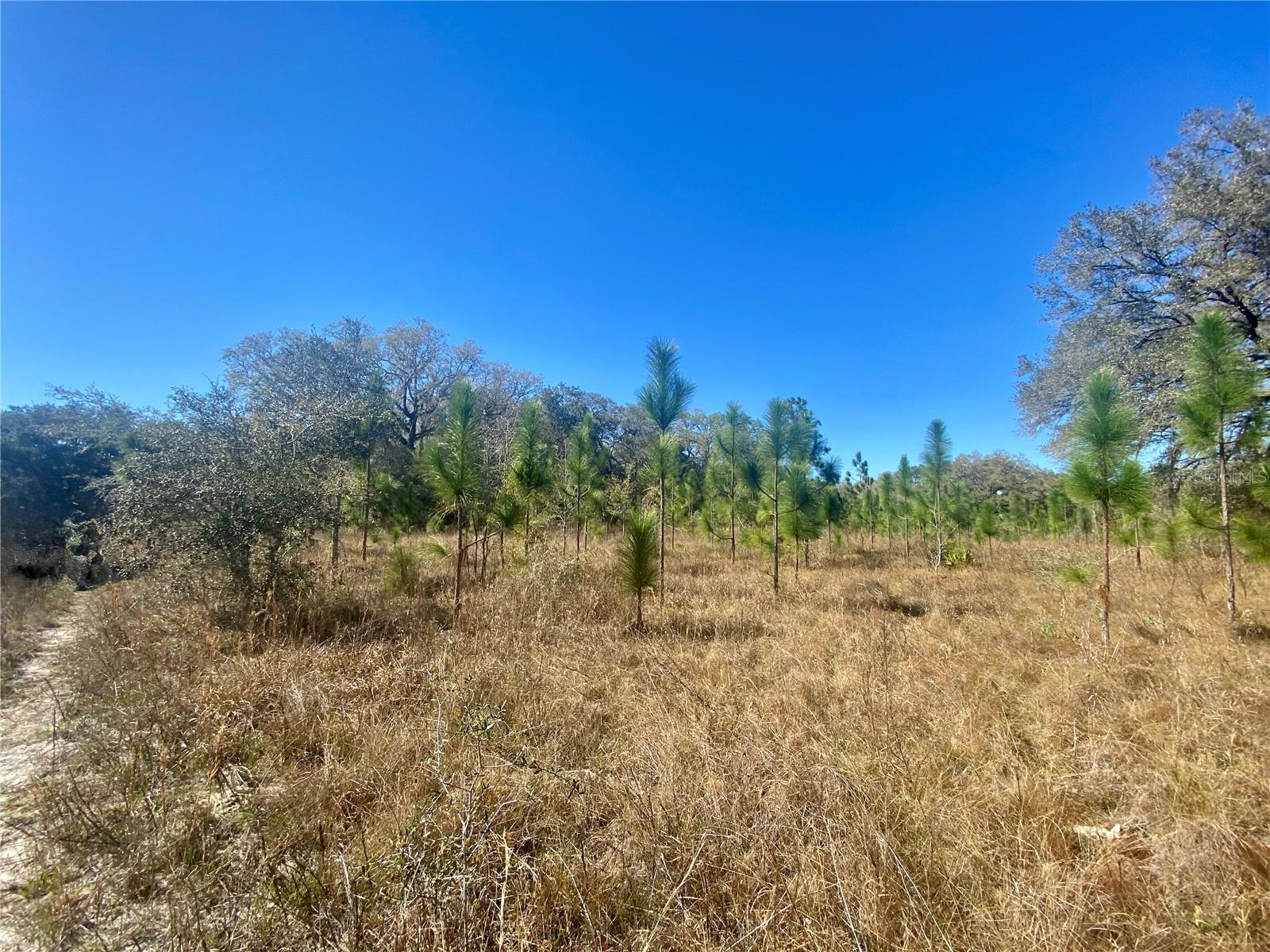 00 UNNAMED, SPRING HILL, FL — photo 61