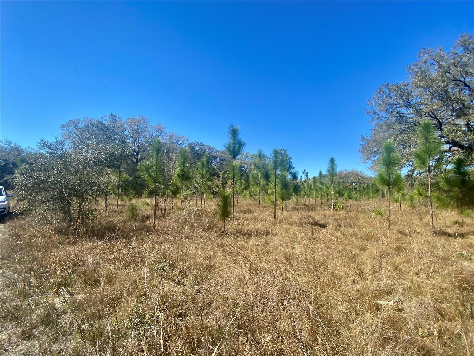 00 UNNAMED, SPRING HILL, FL — photo 62