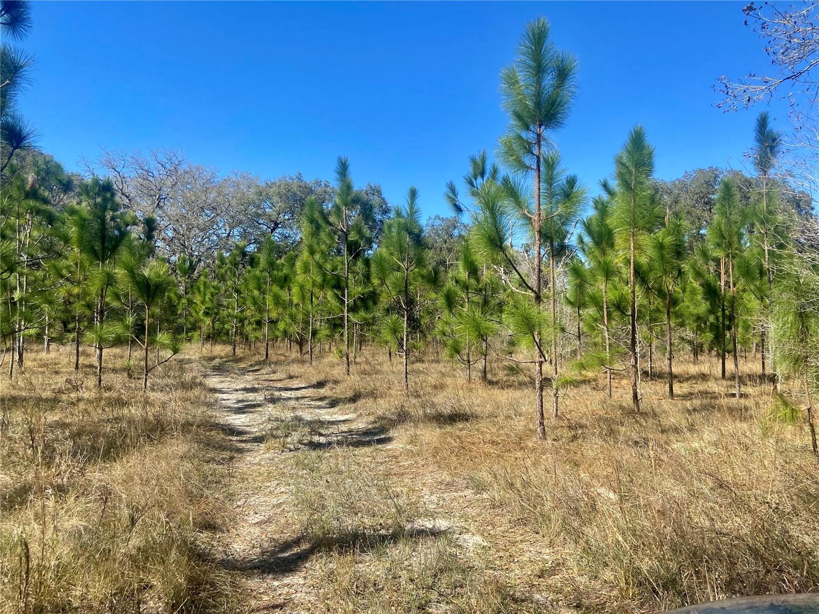 00 UNNAMED, SPRING HILL, FL — photo 64