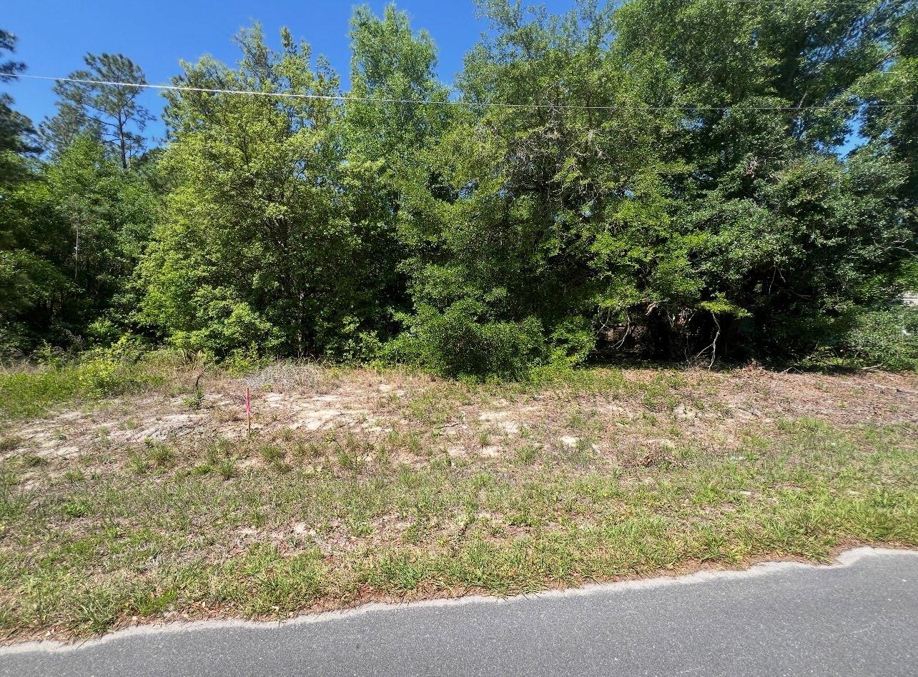 TBD LOCUST COURSE RADIAL LOT 20, OCALA, FL