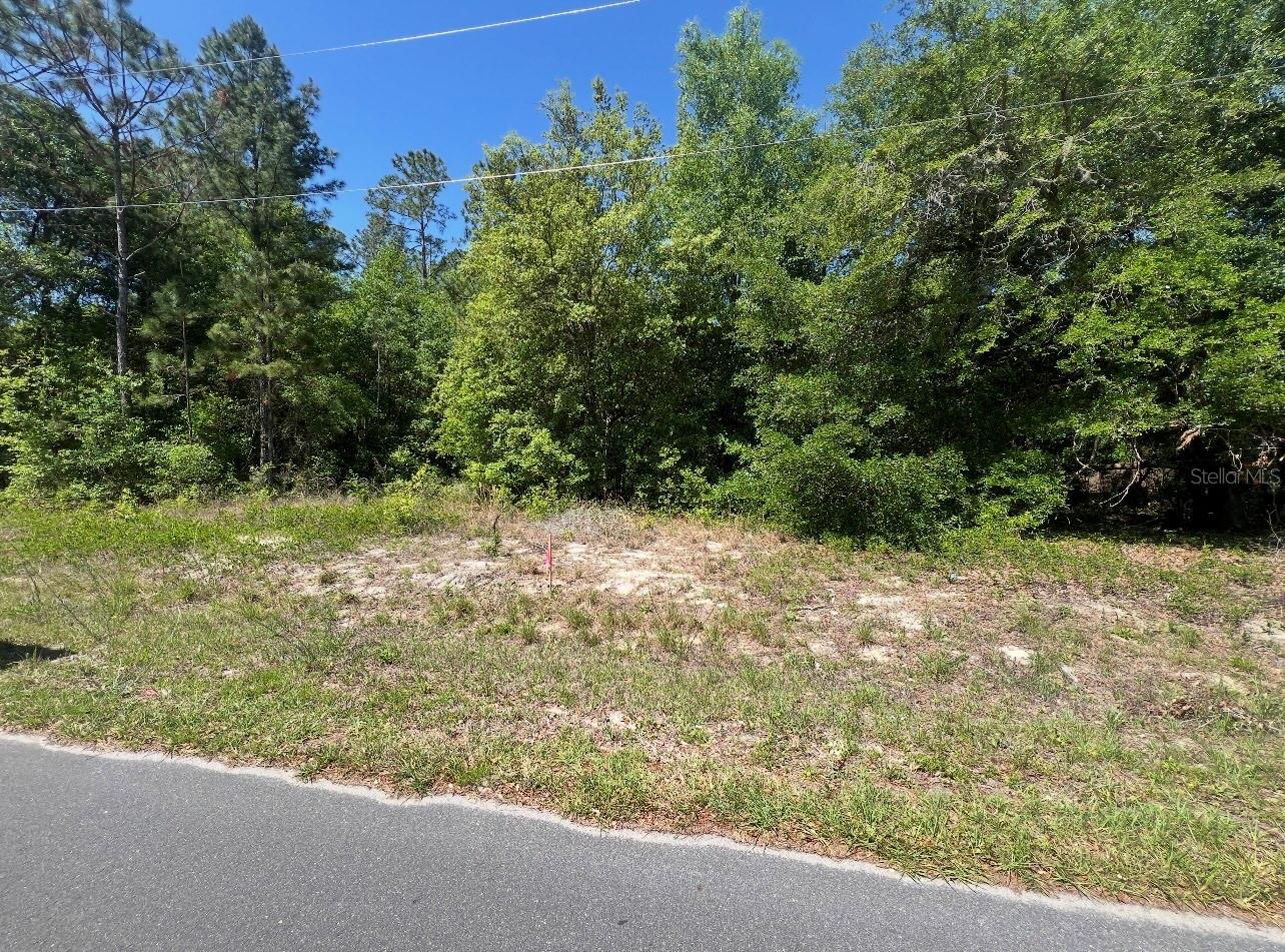 TBD LOCUST COURSE RADIAL LOT 20, OCALA, FL — photo 3