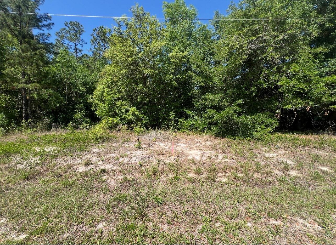 TBD LOCUST COURSE RADIAL LOT 20, OCALA, FL — photo 4