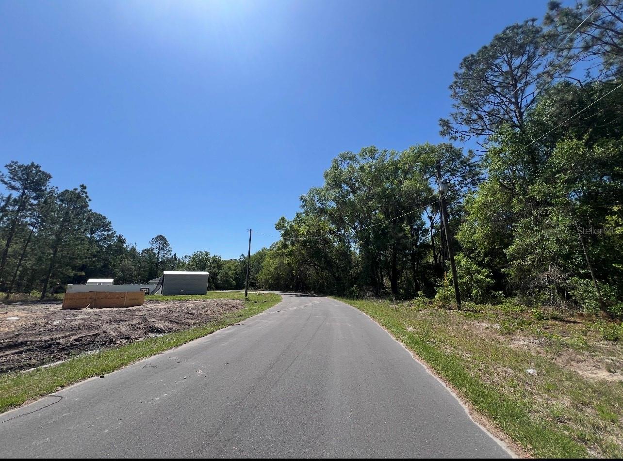 TBD LOCUST COURSE RADIAL LOT 20, OCALA, FL — photo 5