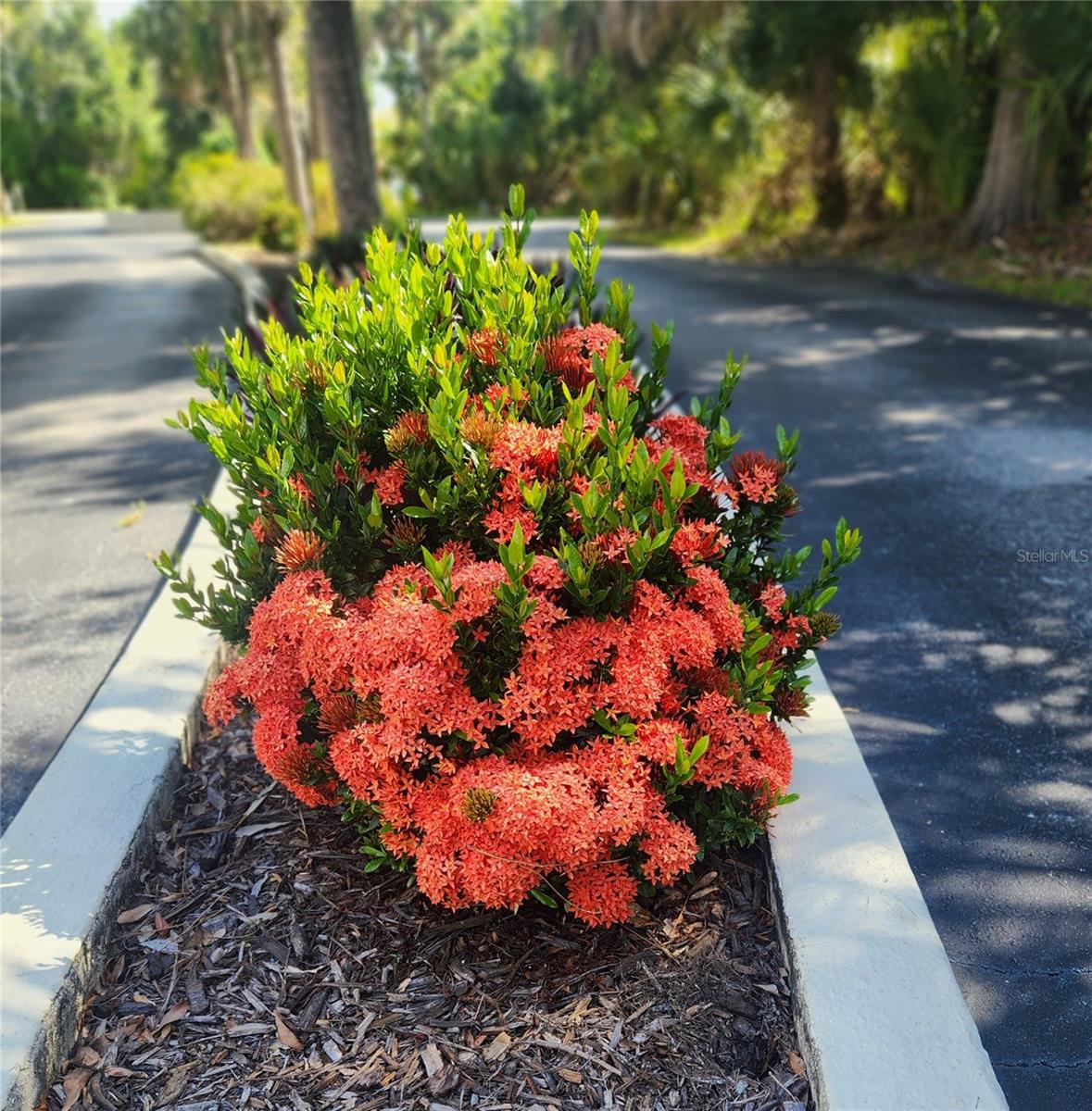 22481 WESTCHESTER BLVD #A19, PUNTA GORDA, FL — photo 4