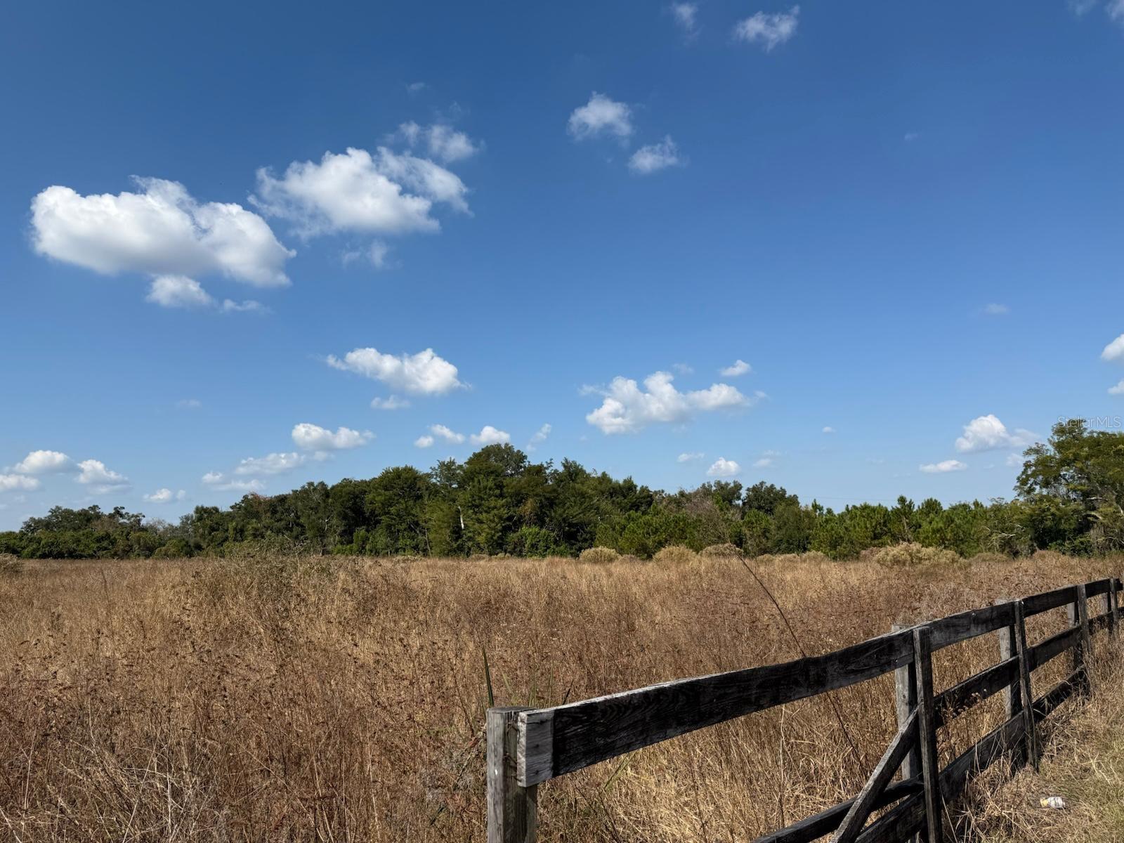 12828 FORT KING HWY, THONOTOSASSA, FL — photo 2