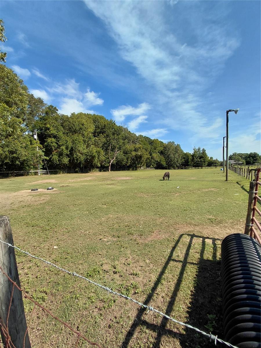 33 PINE TRACE CRSE, OCALA, FL — photo 57