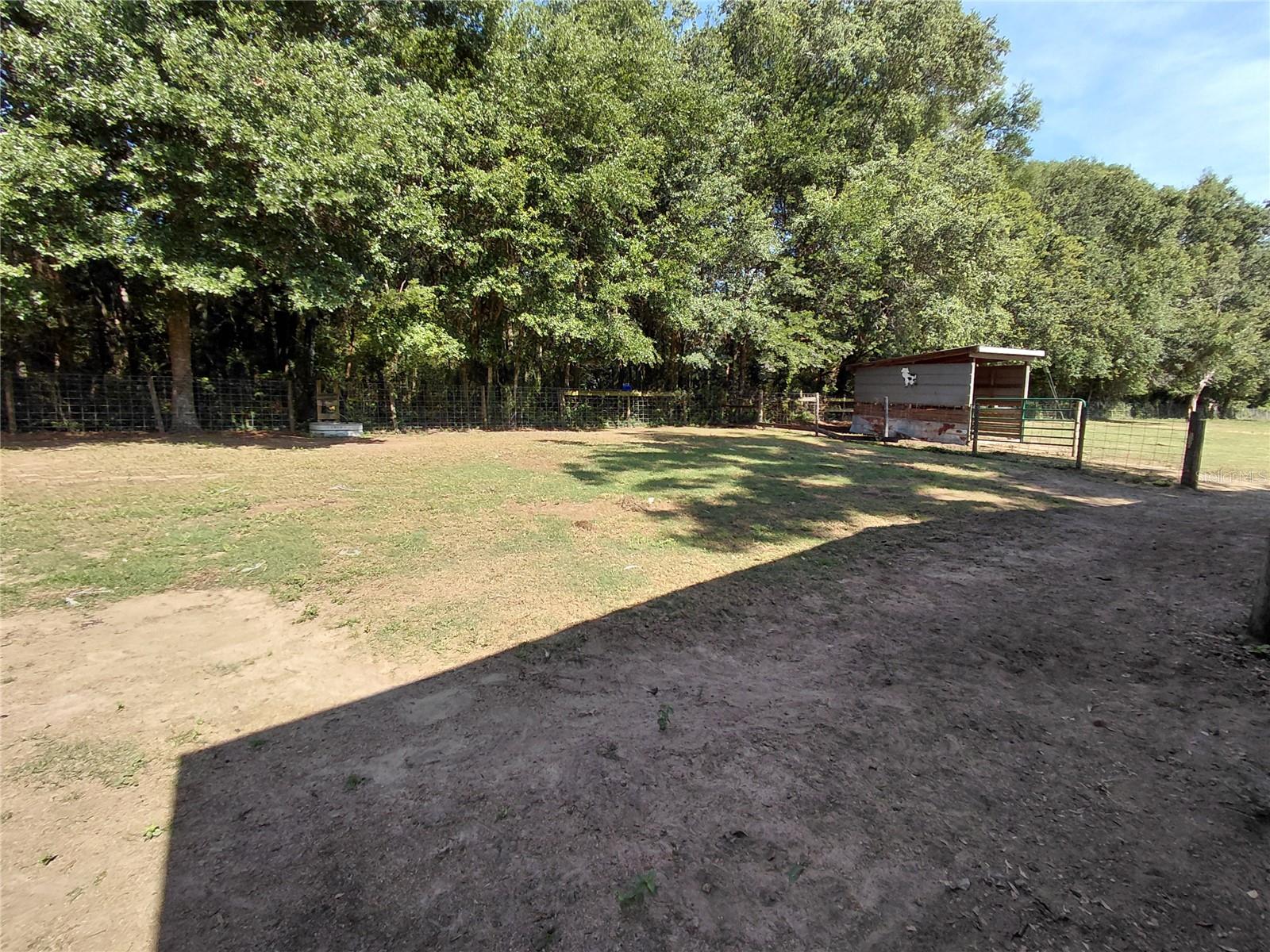 33 PINE TRACE CRSE, OCALA, FL — photo 66