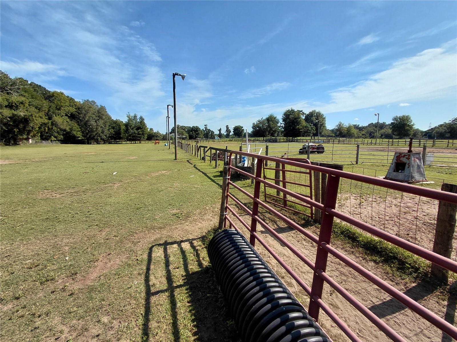 33 PINE TRACE CRSE, OCALA, FL — photo 73