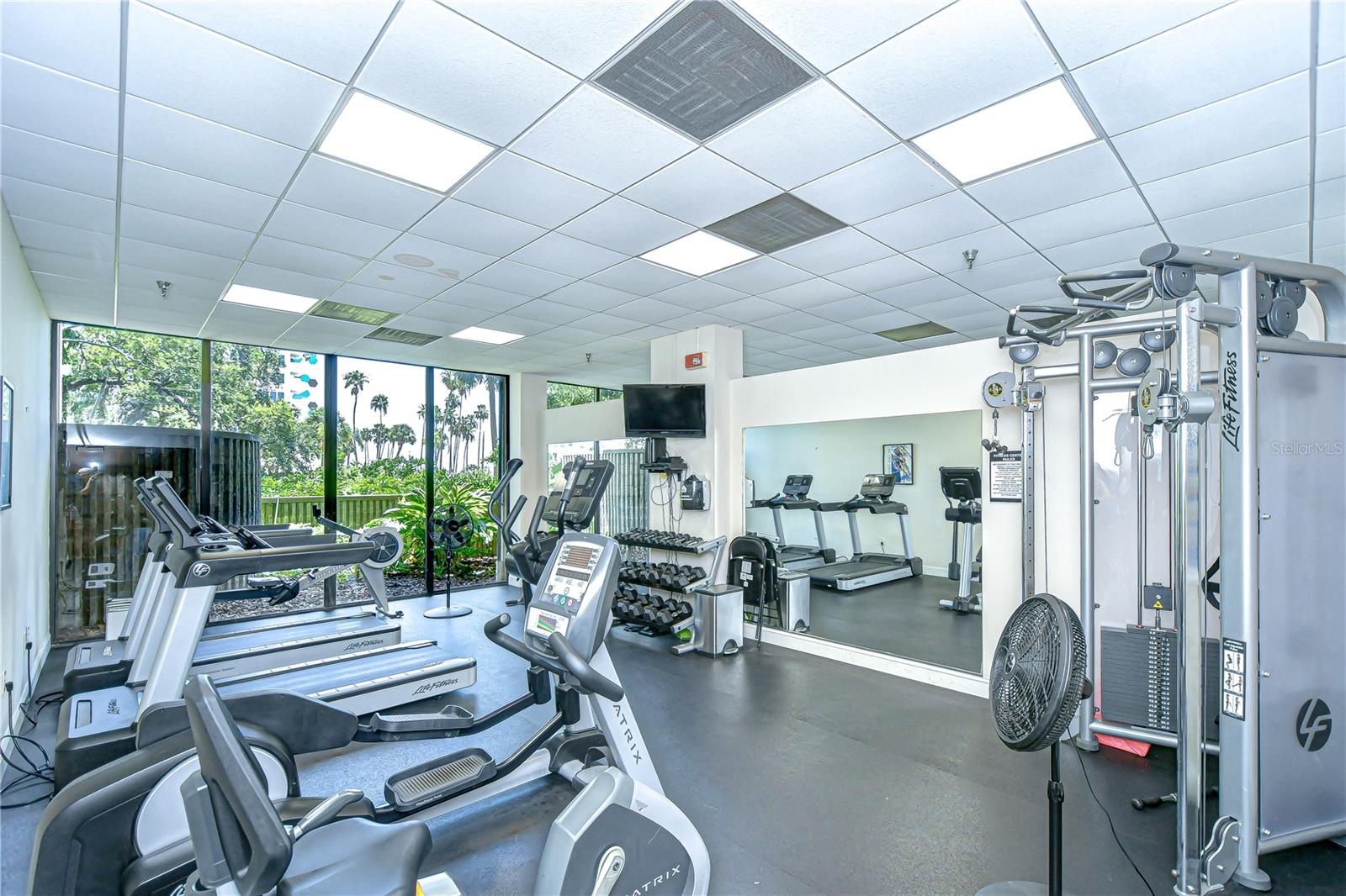 2413 BAYSHORE BLVD #1903, TAMPA, FL — photo 33