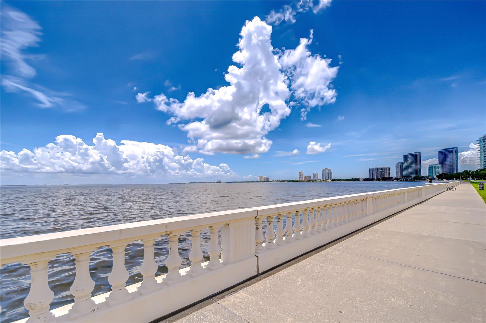 2413 BAYSHORE BLVD #1903, TAMPA, FL — photo 36